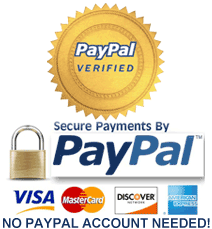 pay with paypal